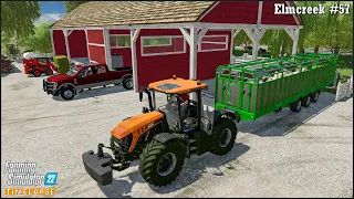 #FarmingSimulator22🔸Hauling Hay & Silage Bales. Buying & Feeding Sheep. Mulching🔸#Elmcreek Ep.57🔸#4K