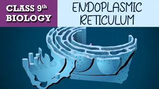 #The fundamental unit of life | Part-5 | CBSE class 9th BIOLOGY | CHAPTER-1 | NCERT CLASS 9