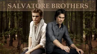 Stefan and Damon's best brotherly moments