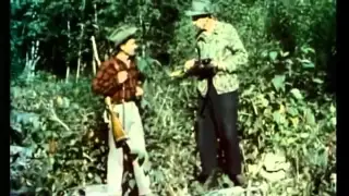 Fred Bear Historical Hunting Footage.flv