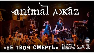 Animal Джаz - Не твоя смерть (Live, Владивосток, 25.03.2017)