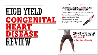 Congenital Heart Disease Review | Mnemonics And Proven Ways To Memorize for your exams!