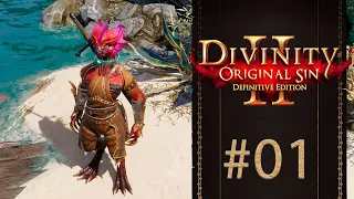 Divinity: Original Sin 2: Definitive Edition #01