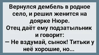 Как Дембель На Доярке Нюре Женился! Сборник Свежих Анекдотов! Юмор!