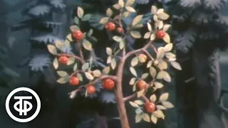 Чудесное яблоко. Мультфильм (1988)