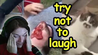 Try not to LAUGH Challenge | Kruzadar Reacts