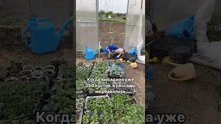 Все дачники на майские💯😂 #дача #сад #огород #цветы #лето #юмор #garden #урожай