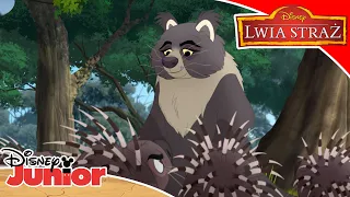 🎶 Nie zadzieraj z mamą | Lwia Straż | Disney Junior Polska