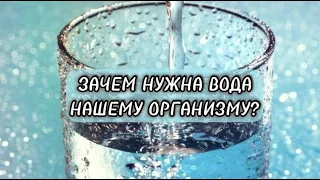 ВОДА! Как правильно очистить и восстановить организм, поднять уровень энергии с помощью ВОДЫ?