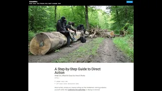 "A Step by Step Guide to Direct Action"  - CrimethInc.