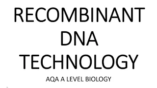 RECOMBINANT DNA TECHNOLOGY - AQA A LEVEL BIOLOGY + EXAM QUESTIONS RUN THROUGH