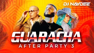 El Incomprendido, Farruko, Pitbull, Karol G | Guaracha Mix 2021 |  After Party 3 by DJ Naydee