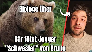 Wildtierbiologe zu Bären Angriff -Wie gefährlich sind sie?