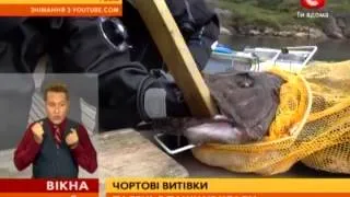 Аквалангиста укусил за руку черт - Вікна-новини - 07.08.2013