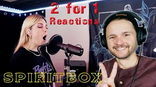 Acoustic Musician Reacts | Holy Roller | Spiritbox | One Take Vocals + Guitar