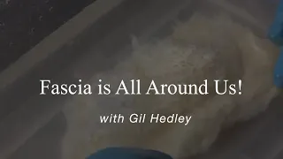 Fascia is all around us! (for 2018 Fascia Congress, Berlin): Learn Integral Anatomy with Gil Hedley