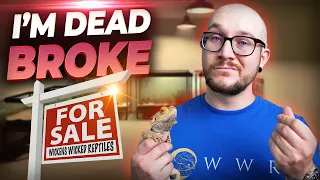 I Went DEAD BROKE Breeding Reptiles and You Might Too!