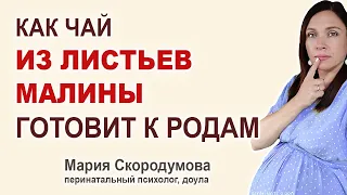 Как подготовить шейку матки к родам при помощи чая из листьев малины?