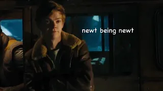 newt being iconic for almost a minute straight