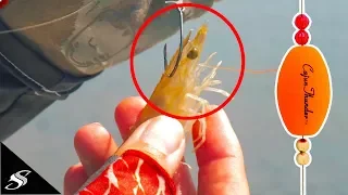 Rigging & Fishing with a Popping Cork + Shrimp!