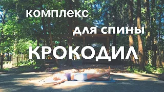 Терапевтический комплекс для спины КРОКОДИЛ. Йога с Анастасией Яшиной.