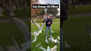 Aise Banoge IAS Officer - Learn From These Birds #Shorts #upsc