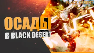 Осады в Black Desert от а до я