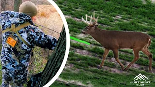 BOW HUNTING THE RUT IN NEW YORK | Calling to Bucks
