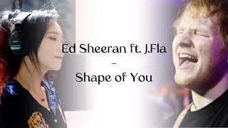 Ed Sheeran ft. J.Fla - Shape of You (Duet Mix Ver)