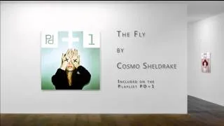 The Fly -    Cosmo Sheldrake