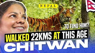 Close Encounter with a Tiger? in Royal Chitwan National Park Nepal 🇳🇵