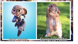 Cartoon Characters Real Life -  Zootopia Characters in Real Life 2017 -10s Team