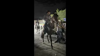 2024 Cañada de Caracheo Caballos Bailadores