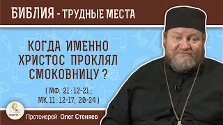 Когда именно Христос проклял смоковницу (Мф. 21:12-21)?  Протоиерей Олег Стеняев