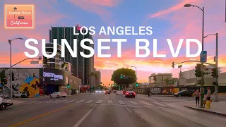 Relaxing Drive on Sunset Boulevard in Los Angeles at Sunset time | ASMR | calming |
