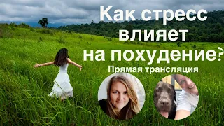 Прямая трансляция: как стресс влияет на похудение?