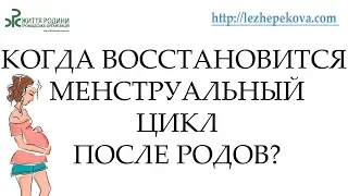 Когда восстановится менструальный цикл после родов?