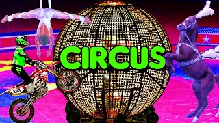 Circus Show 2023 Spectacular | Motorcycles in Globe 🌐 Arabian Horses 🐎 Clowns 🤡 and Much More...