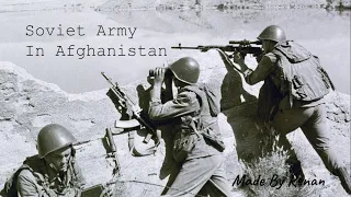 Soviet Army in Afghanistan (If You Want to Eat the Jam, Don't Catch)