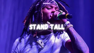 [FREE] King Von Type Beat x Polo G Type Beat | "Stand Tall" | Piano Beat | 2024 Type Beat