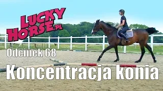 Porady LuckyHorse.pl  -  odc.68 - Koncentracja u konia