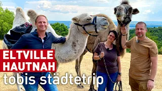 Eltville hautnah! | Reisen | Tobis Städtetrip