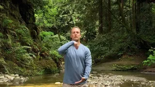 Lee Holden Qi Gong: Mindfulness in Motion (YMAA DVD) 2018 Moving Meditation