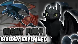 Night Fury Biology Explained | How To Train Your Dragon