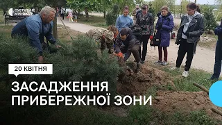 "Дерево — життя громади": в Миколаєві висадили понад 35 дерев