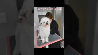 눈치? 개나 줘버려~~~