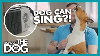 This Dog Loves To Sing | It's Me Or The Dog