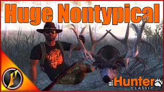 Huge Nontypical Mule Deer with the .303 British! | theHunter Classic