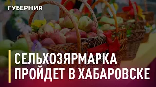 Сельскохозяйственная ярмарка выходного дня открылась в Хабаровске. Новости. 17/05/2021. GuberniaTV