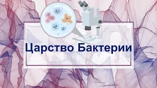 Бактерии. Всё что нужно знать о бактериях для ОГЭ/ЕГЭ по биологии.